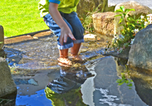 自宅の庭で楽しい水遊び